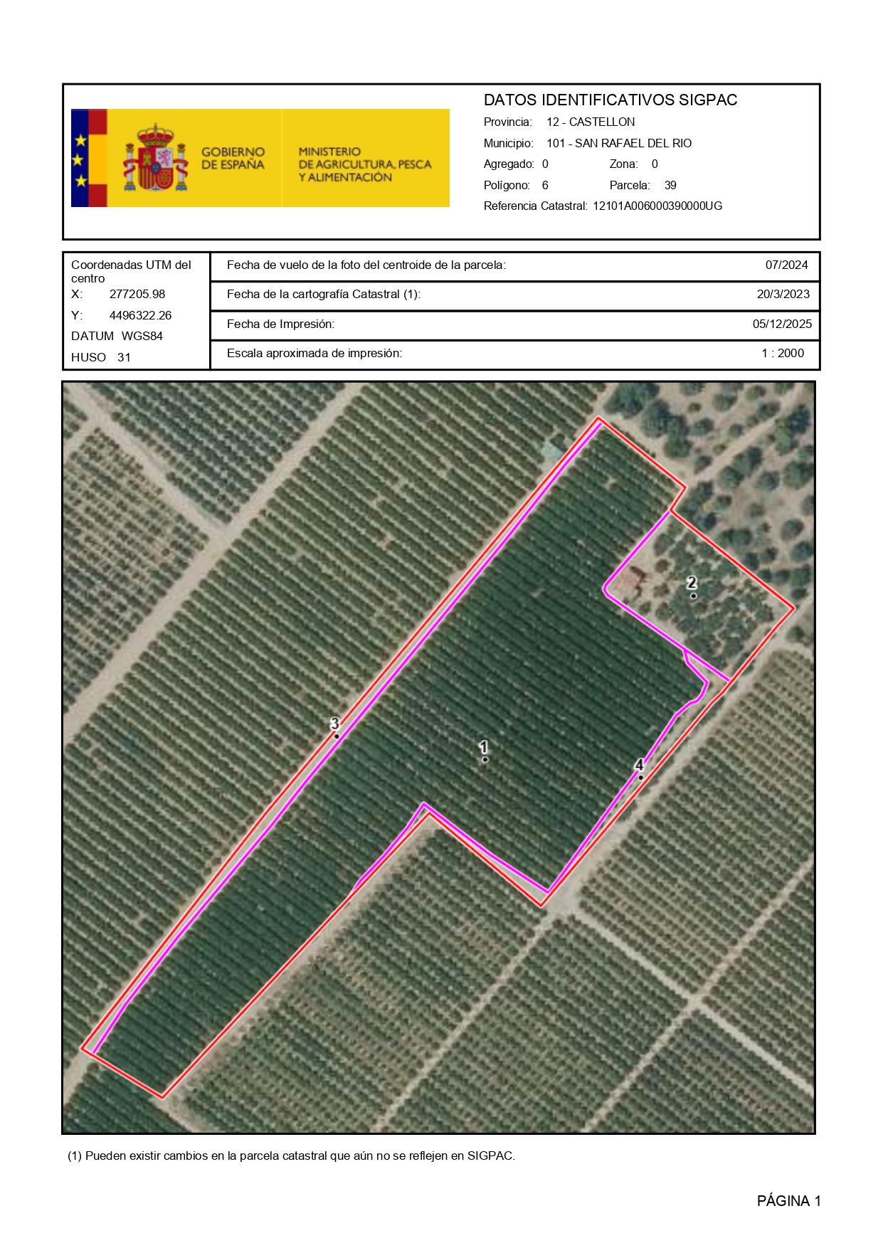 Venta del 25% indiviso de finca rústica en San Rafael del Río (Castellón) - Polígono 6 – Parcela 39