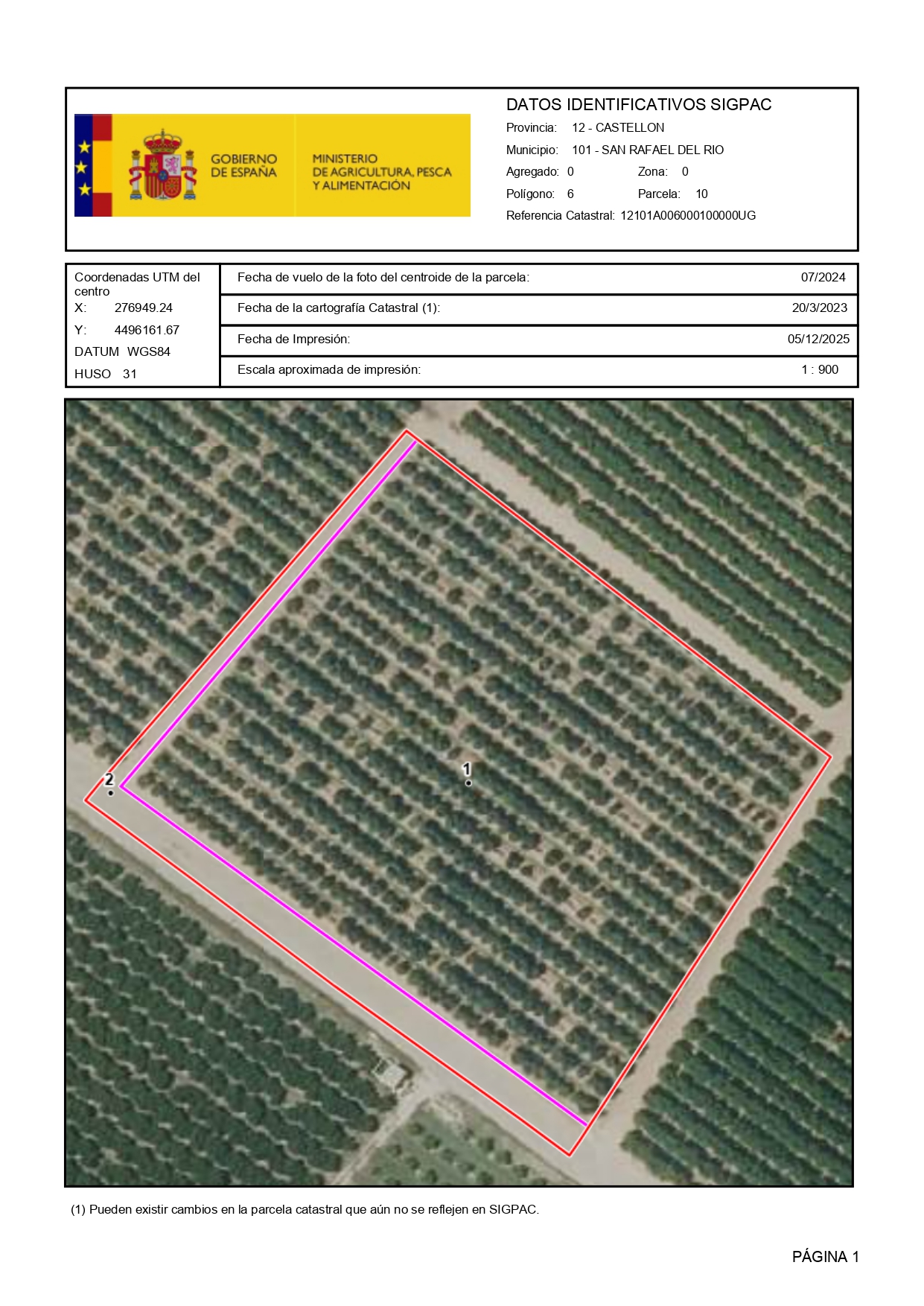 Venta del 50% + 50% indiviso de finca de naranjos en San Rafael del Río (Castellón) Polígono 6 – Parcela 10