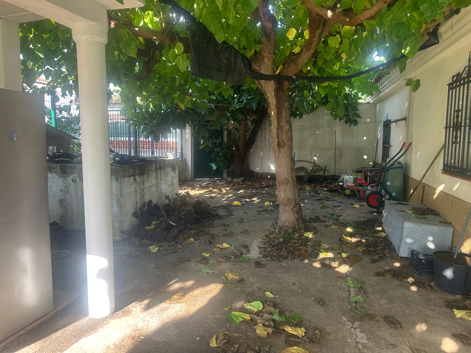 FINCA RUSTICA POZO