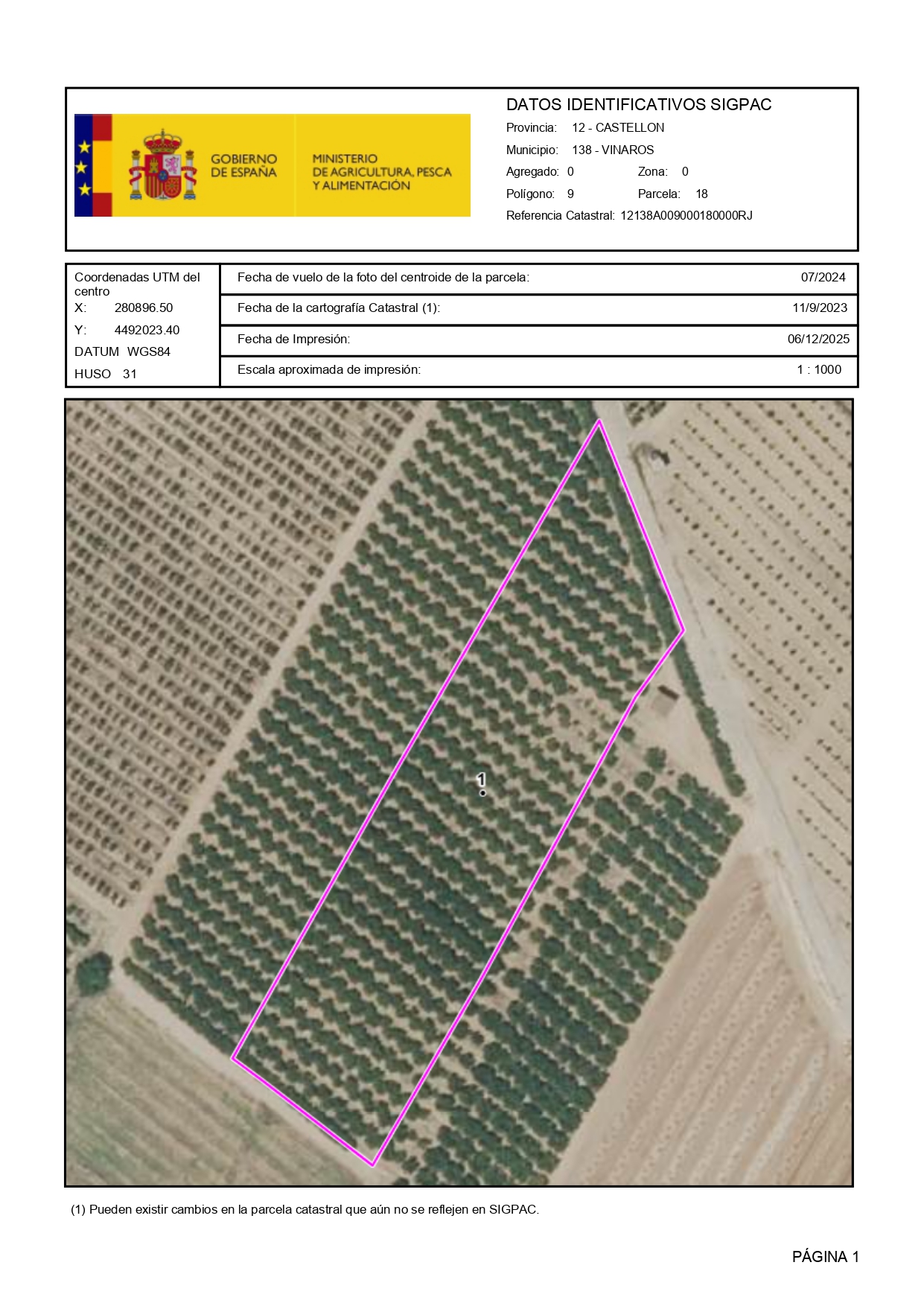 Venta del 25% + 25% indiviso de finca rústica de cítricos en Vinaròs (Castellón) - Polígono 9 – Parcela 18