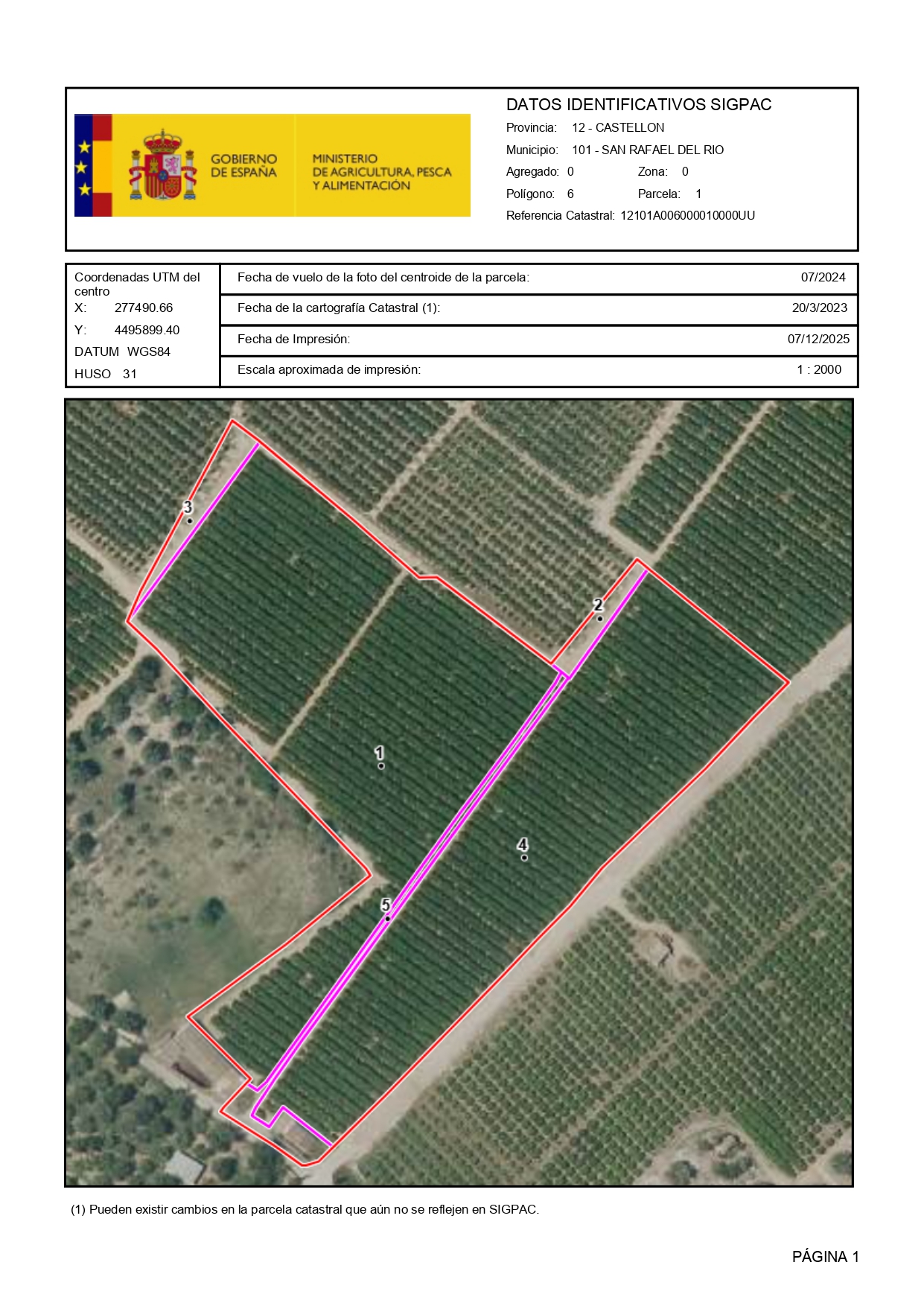 Venta del 25% + 25% indiviso de finca rústica de cítricos en San Rafael del Río (Castellón) - Polígono 6 – Parcela 1