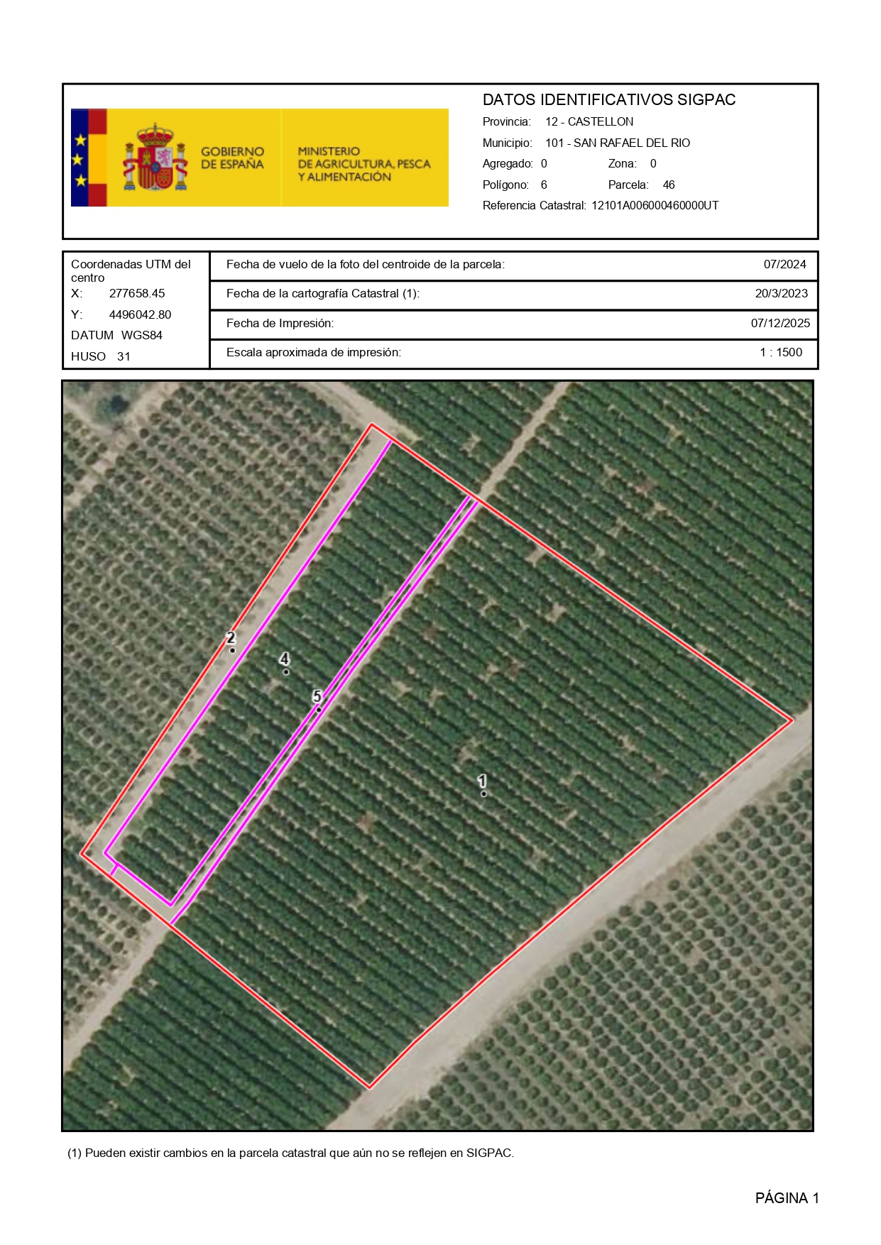 Venta del 25% + 25%  indiviso de finca rústica de cítricos en San Rafael del Río (Castellón) - Polígono 6 – Parcela 46