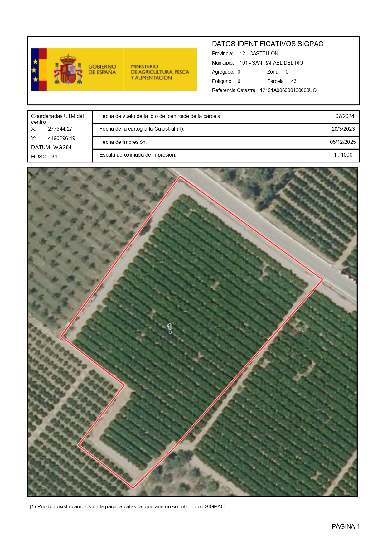 Venta del 25% + 25%  indiviso de finca de naranjos en San Rafael del Río (Castellón) - Polígono 6 – Parcela 43