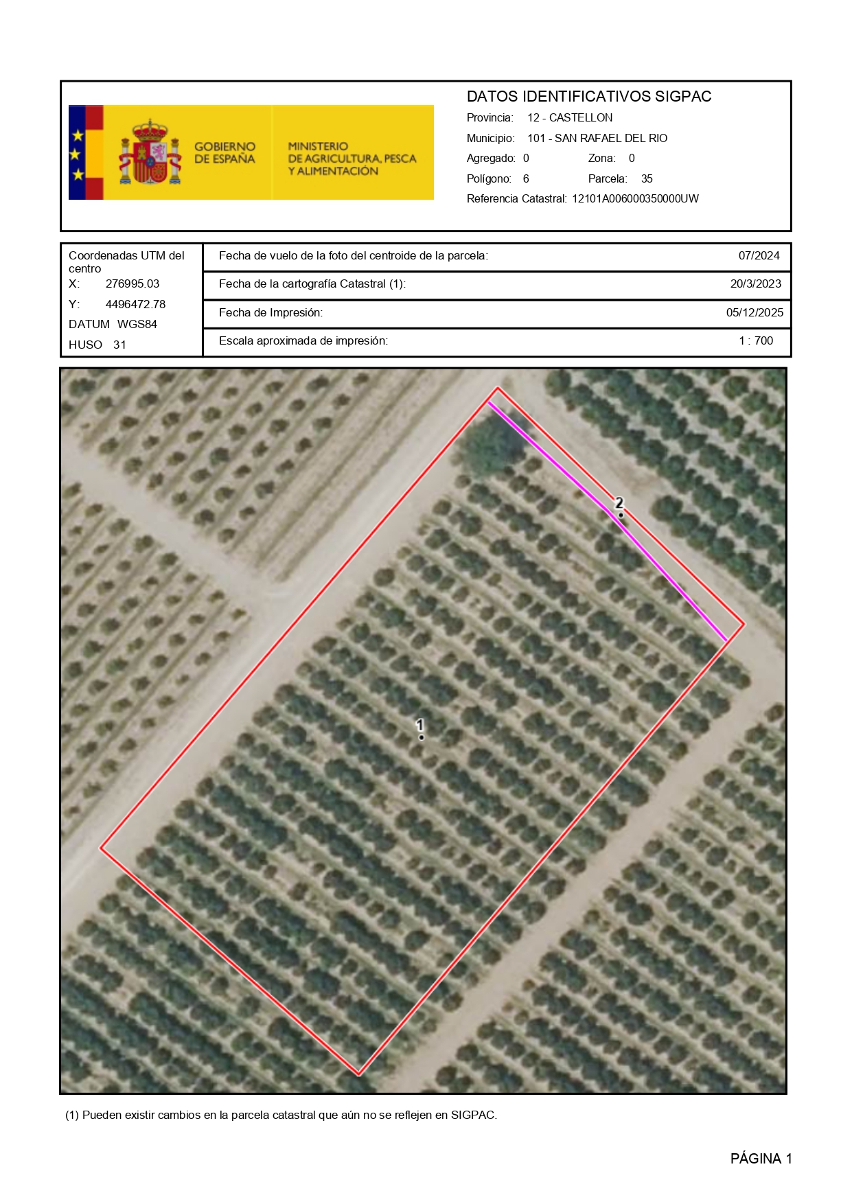 Venta del 100% del pleno dominio de finca rústica agrícola en San Rafael del Río (Castellón) – Polígono 6, Parcelas 35 y 13 miniatura 3