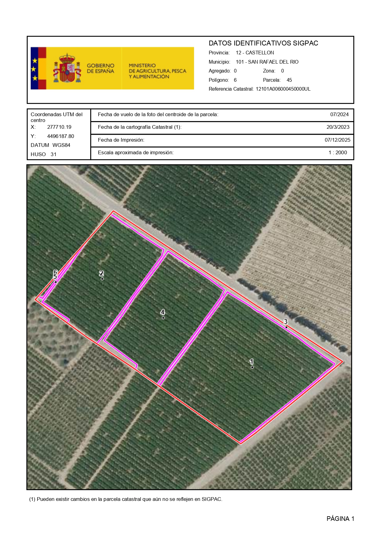 Venta del 25% + 25%  indiviso de finca rústica de cítricos en San Rafael del Río (Castellón) - Polígono 6 – Parcela 45