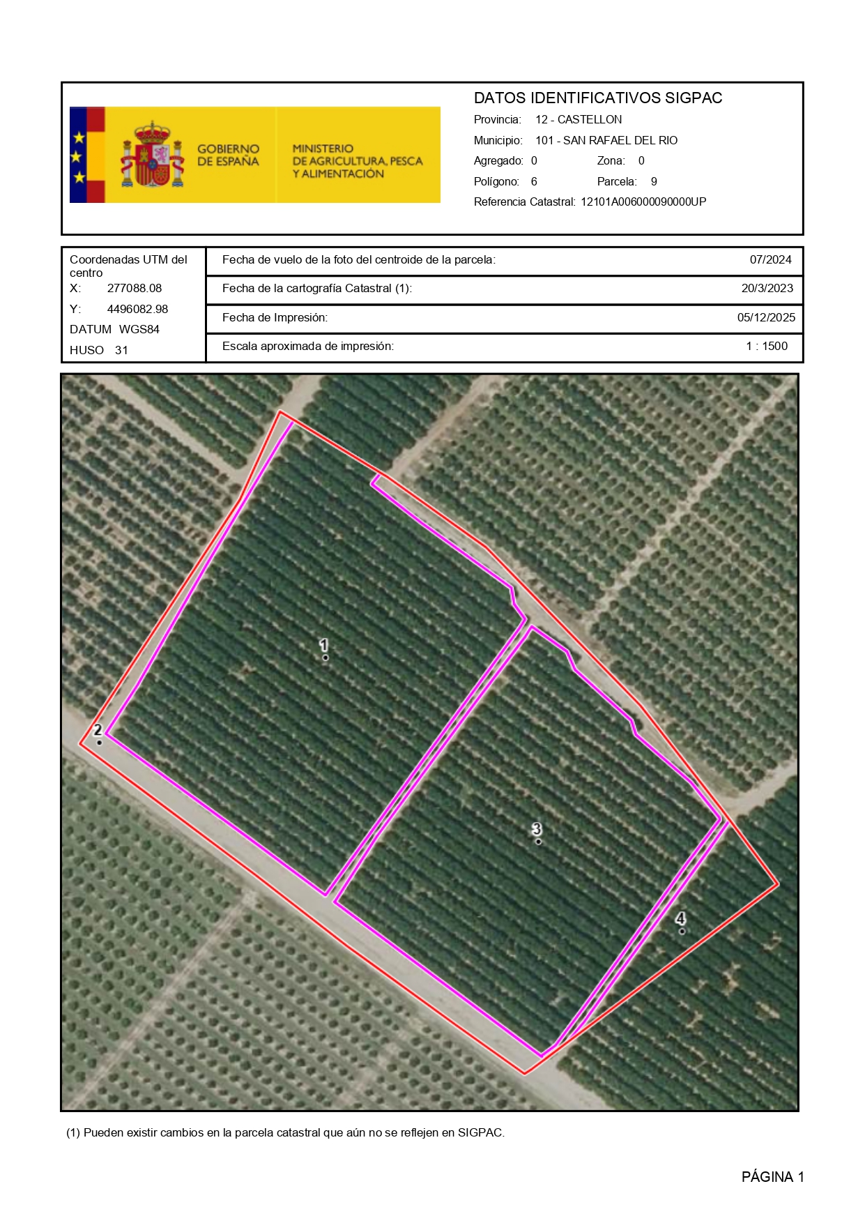Venta del 25% +25% indiviso de finca rústica de cítricos en San Rafael del Río (Castellón) - Polígono 6 – Parcela 9 miniatura 2