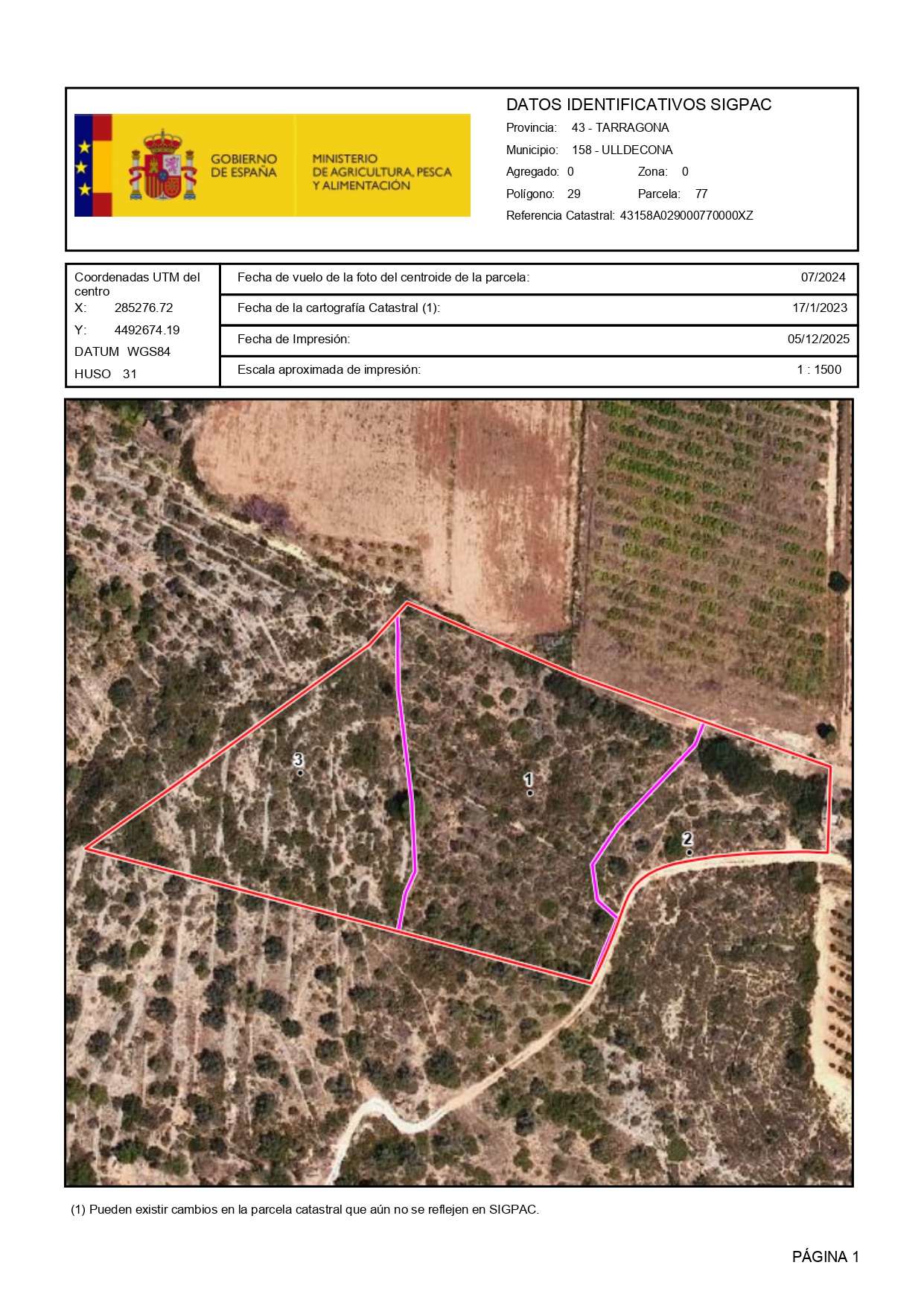 Venta del 50% 50% indiviso de finca rústica en Ulldecona – Polígono 29 Parcela 77