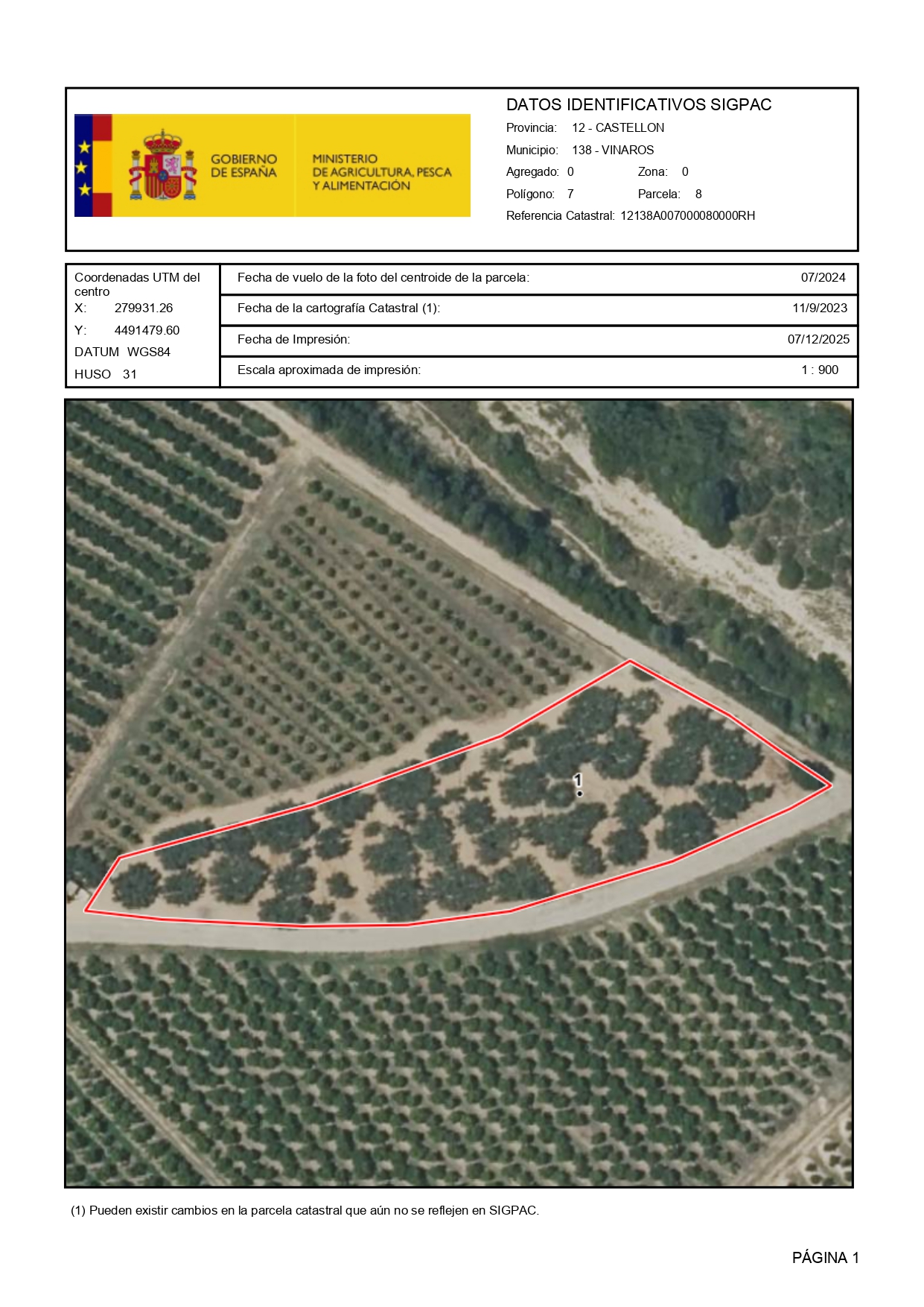 Venta del 100%  de pleno dominio de finca rústica de Olivos en Vinaròs (Castellón) - Polígono 7 – Parcela 8