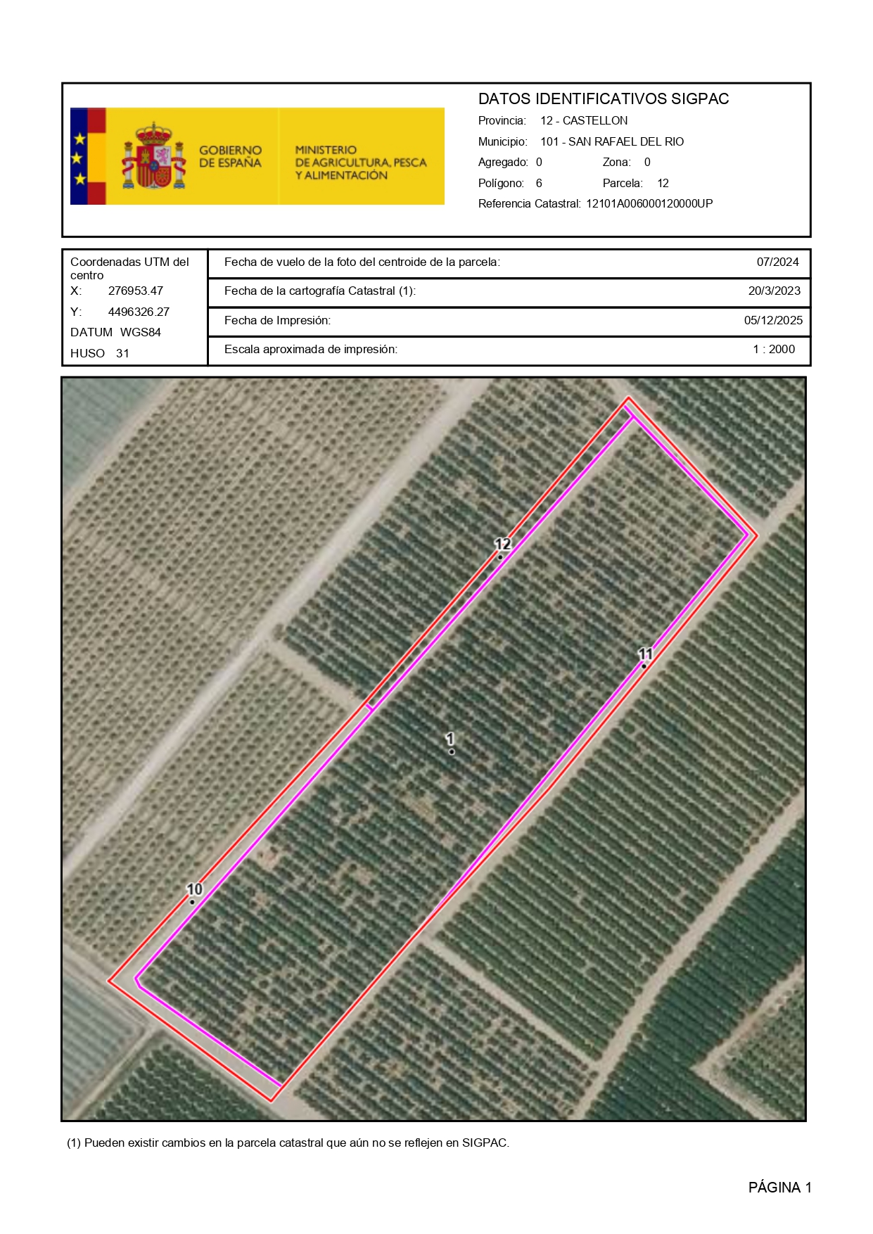 Venta del 50% + 50% indiviso de finca de naranjos en San Rafael del Río (Castellón) Polígono 6 – Parcela 12