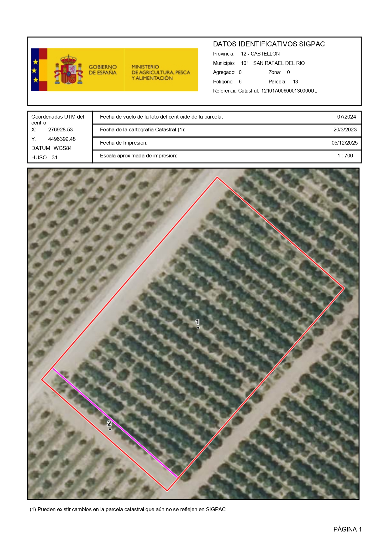 Venta del 100% del pleno dominio indiviso de finca rústica de cítricos en San Rafael del Río (Castellón) - Polígono 6 – Parcela 13