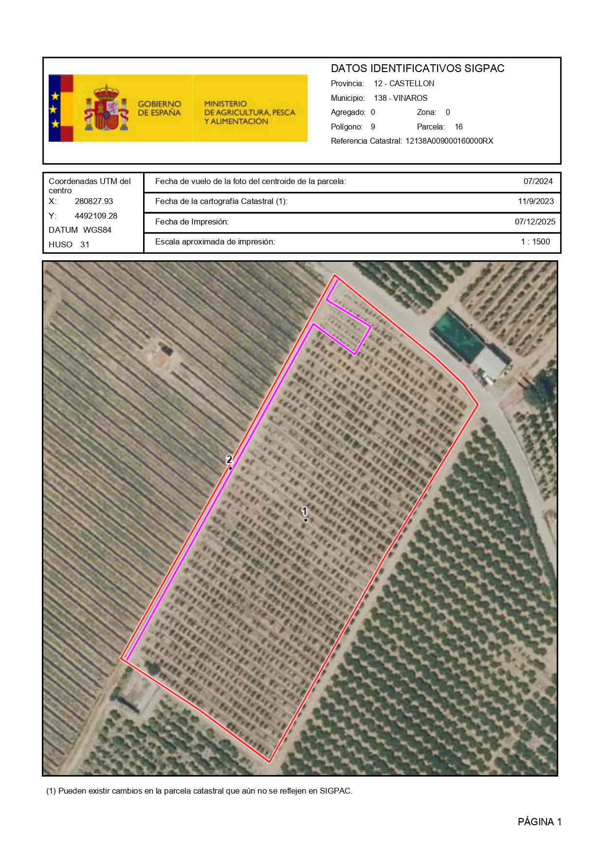 Venta del 50% + 50% indiviso de finca rústica de cítricos en Vinaròs (Castellón) - Polígono 9 – Parcela 16
