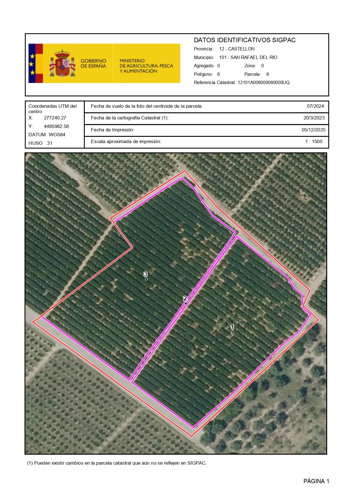 Venta del 25% + 25% indiviso de finca de naranjos en San Rafael del Río (Castellón) - Polígono 6 – Parcela 8
